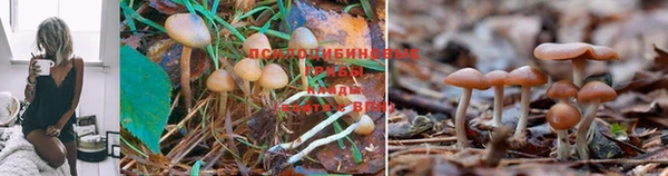 героин Алексеевка