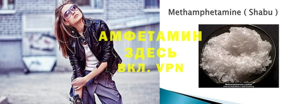 молекула духа Алзамай