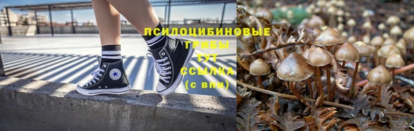 молекула духа Алзамай
