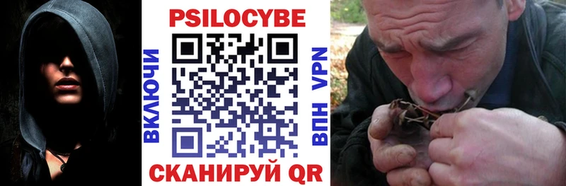 Псилоцибиновые грибы Psilocybine cubensis  закладки  Магадан 