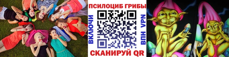 Галлюциногенные грибы Psilocybine cubensis Магадан